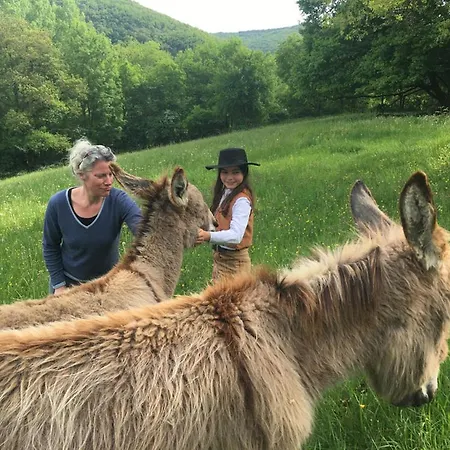 Art En Cele-chambres D'hotes * Corn