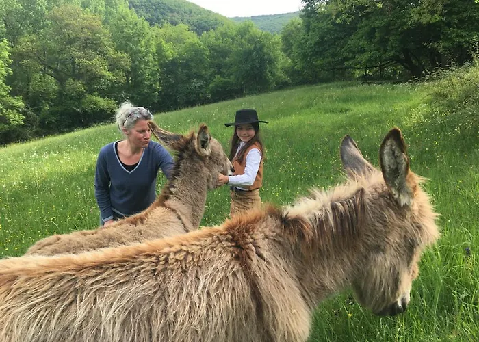 Art En Cele-chambres D'hotes * Corn