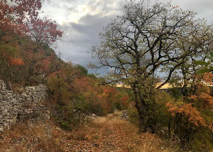 Art En Cele-chambres D'hotes * Corn